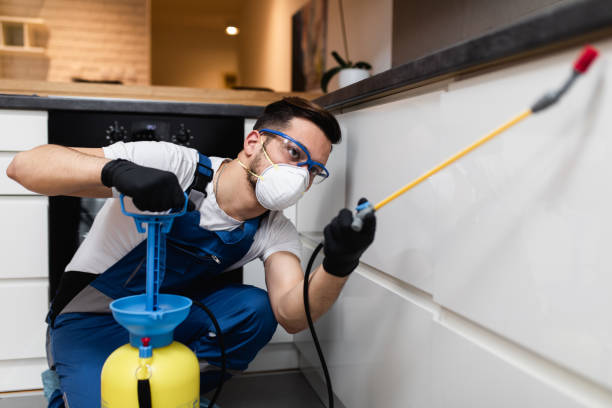 Best Emergency Pest Control  in Clayton, CA