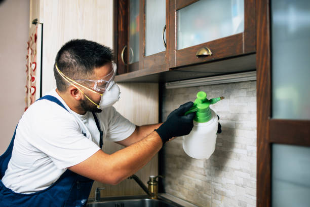 Best Mosquito Control Services  in Clayton, CA
