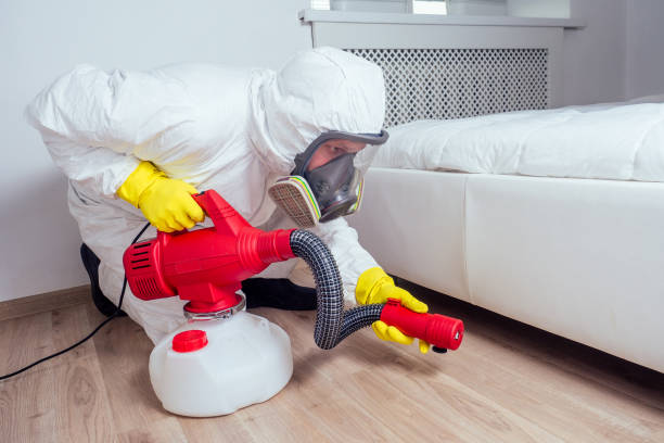 Best Residential Pest Control  in Clayton, CA