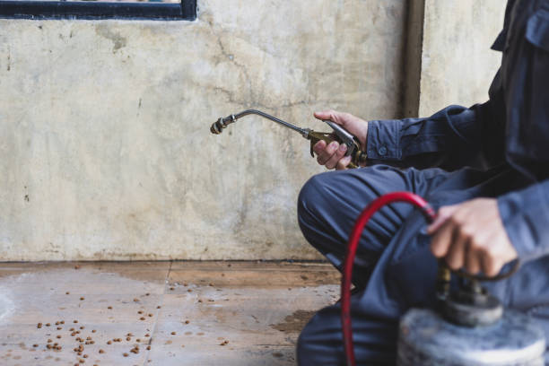 Pest Prevention Services in Clayton, CA
