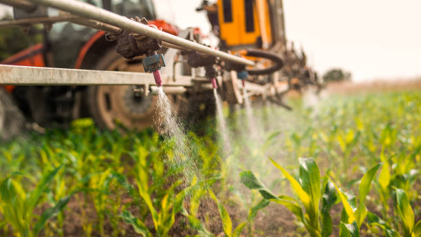 Best Wildlife Control Services  in Clayton, CA